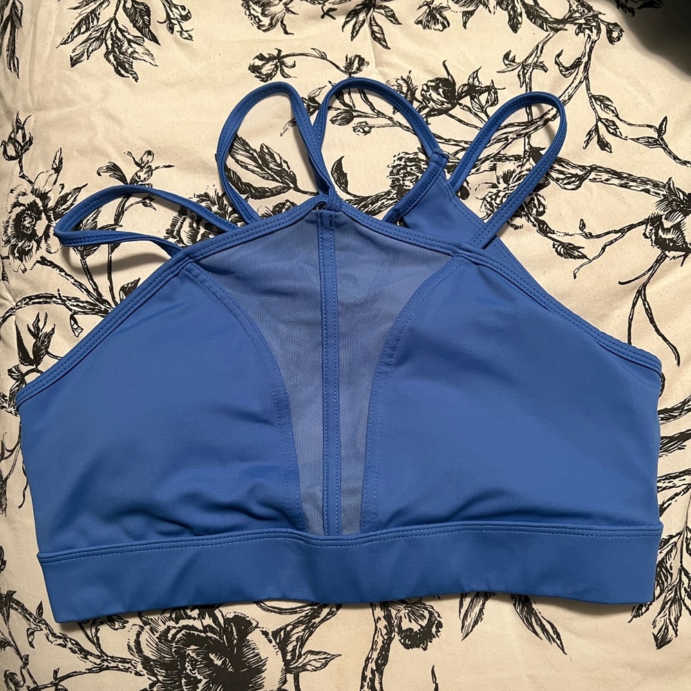 Cleo harper bra